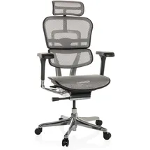 HJH Office Ergohuman GEN2 Netzstoff Hellgrau