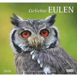 Geliebte Eulen - Kalender 2026