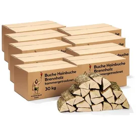 neandertaler feuer Brennholz Buchenholz 270 kg