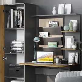 Vicco Schreibtisch Tessa Anthrazit/Goldkraft Eiche