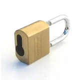 Burg Wächter Vorhangschloss für ProfilHalbzylinder