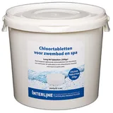 Interline Chlortabletten 10 kg