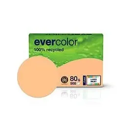 Clairefontaine Evercolor A4 80 g/m2 500 Blatt