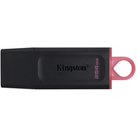Kingston DataTraveler Exodia schwarz 256GB, USB-A 3.0 (DTX/256GB)