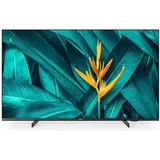 Philips 55HFL5214U/12 55" 4K LED Professional TV