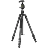Vanguard VESTA GO 234CB Carbon