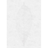 KOMAR Fototapete Decent Leaf 200 x 280 cm
