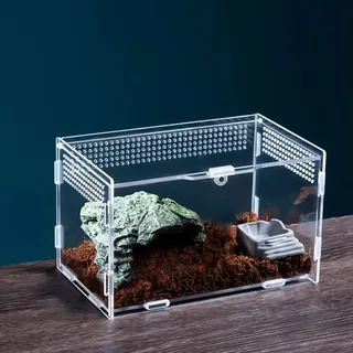 360 ° Acryl Terrarium Schnecken Terrarium: Nizirioo Mini Transparent Acryl Terrarium, Reptil Fütterungsbox, Critter Box für Spide, Skorpion, Käfer, Gottesanbeterin, Reptilien Lebensraum, 20x12x12cm