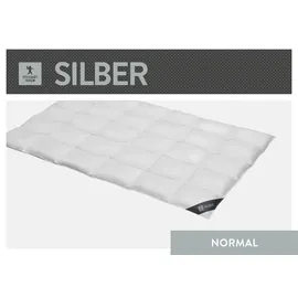 SPESSARTTRAUM Daunendecke Silber normal 100% Daunen, 155x220 cm