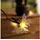 esotec Solar Deko-lichterkette 9 m 30 LEDs inkl. 2 m Zuleitung schwarz