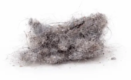 Hausstaubanalyse – Schwermetalltest im Hausstaub | Mineral-Check