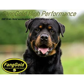FangGold High Performance 15 kg