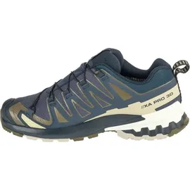 Salomon XA Pro 3D V9 GTX Herren India Ink/Olive Night/Aloe Wash 46