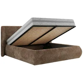 MKS Meble Polsterbett mit Bettkasten CAELA CLASSIC - braun ¦ Maße (cm): B: 225 H: 110
