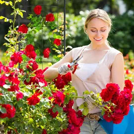 Relaxdays Rankgitter halbrund 42 x 180 x 19,5 cm Schwarz