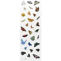 Naklejki ozdobne Motyle