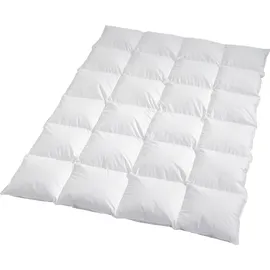 Traumschlaf Daunendecke Himalaya warm, Füllung: 100% Daunen 155x220 cm - weiß