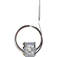 Jumo 60003225 Temperaturwächter