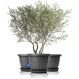BigDean Blumentopf Ø 50 x 38 cm Anthrazit