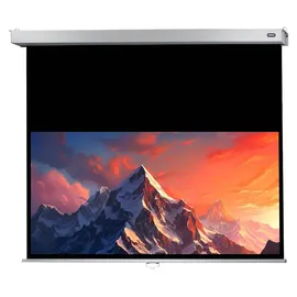 Celexon Rollo Professional Plus 300x187 16:10