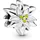 Pandora Edelweiss Blume Silber 798243ENMX