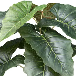CREATIV green Künstliche Pflanze Taro 66cm im Topf