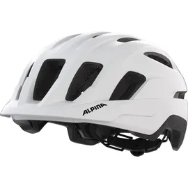 Alpina Paranus white matt