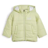 Puma Minicats Steppjacke mit Kapuze Kinder PUMA Pistachio green) One Size