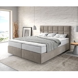 DeLife Dream-Fine 160 x 200 cm H2/H3 beige