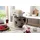 KitchenAid Artisan 5KSM175 Beige