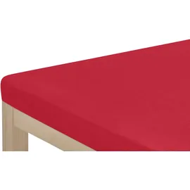 OTTO home Spannbettlaken Mikrofaser 90 x 200 - 140 x 200 - 180 x 200 cm rot