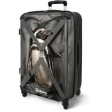NoBoringSuitcases.com® Koffer Mittelgroß 67x43x25 cm Hartschalenkoffer Trolley Rollkoffer 4 Rollen Leicht Hartschale Größe M Pinguin - Reise - Grau - Gürtel