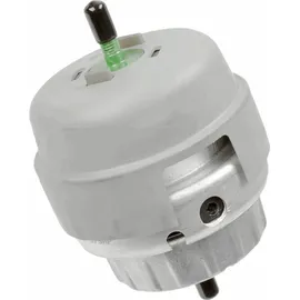Lemförder Lagerung, Motor