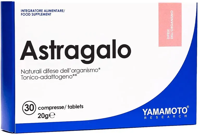 Yamamoto Research Astragalo (30 Tabletten)