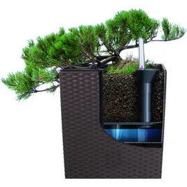 Prosperplast Rato Square 26,5 x 26,5 x 50 cm braun