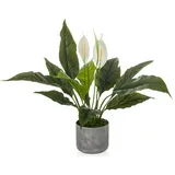 HJH Office Kunstpflanze Spathiphyllum 1 / Kunstblume Einblatt 60 cm grün / weiß