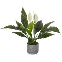 HJH Office Kunstpflanze Spathiphyllum 1 / Kunstblume Einblatt 60 cm grün / weiß