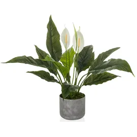 HJH Office Kunstpflanze Spathiphyllum 1 / Kunstblume Einblatt 60 cm grün / weiß