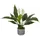 HJH Office Kunstpflanze Spathiphyllum 1 / Kunstblume Einblatt 60 cm grün / weiß