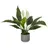 HJH Office Kunstpflanze Spathiphyllum 1 / Kunstblume Einblatt 60 cm grün / weiß