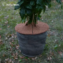 Haga Kokosscheibe S Ø 25 cm