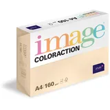 Antalis Coloraction 160 g/m² 250 Blatt (838A160S50)