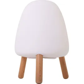 NEW GARDEN Rocket 20 Weiß