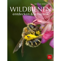 Blv Buchverlag Wildbienen entdecken & schützen: Nicolas Vereecken
