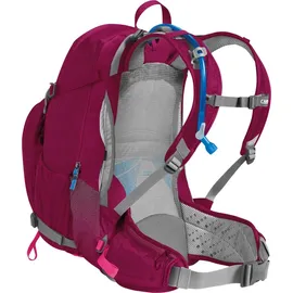 CamelBak Products LLC Sundowner LR 22 100 oz Beet Red/Pink