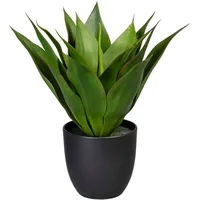 Creativ green Künstliche Zimmerpflanze »Agave«, grün
