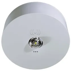 RP-Technik Sicherheitsleuchte ILDK423SC