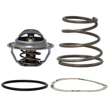 ESBE Einsatz mit Temperaturfühler 55 °C, Serie TV