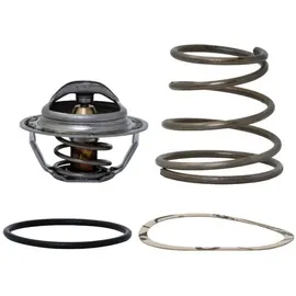 ESBE Einsatz mit Temperaturfühler 55 °C, Serie TV