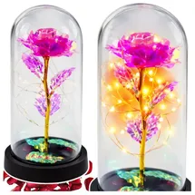 Wisam® Aufbewahrungsbox Ewige Kristallrose in einer Kuppel mit LED-Beleuchtung 1-tlg. Rosa